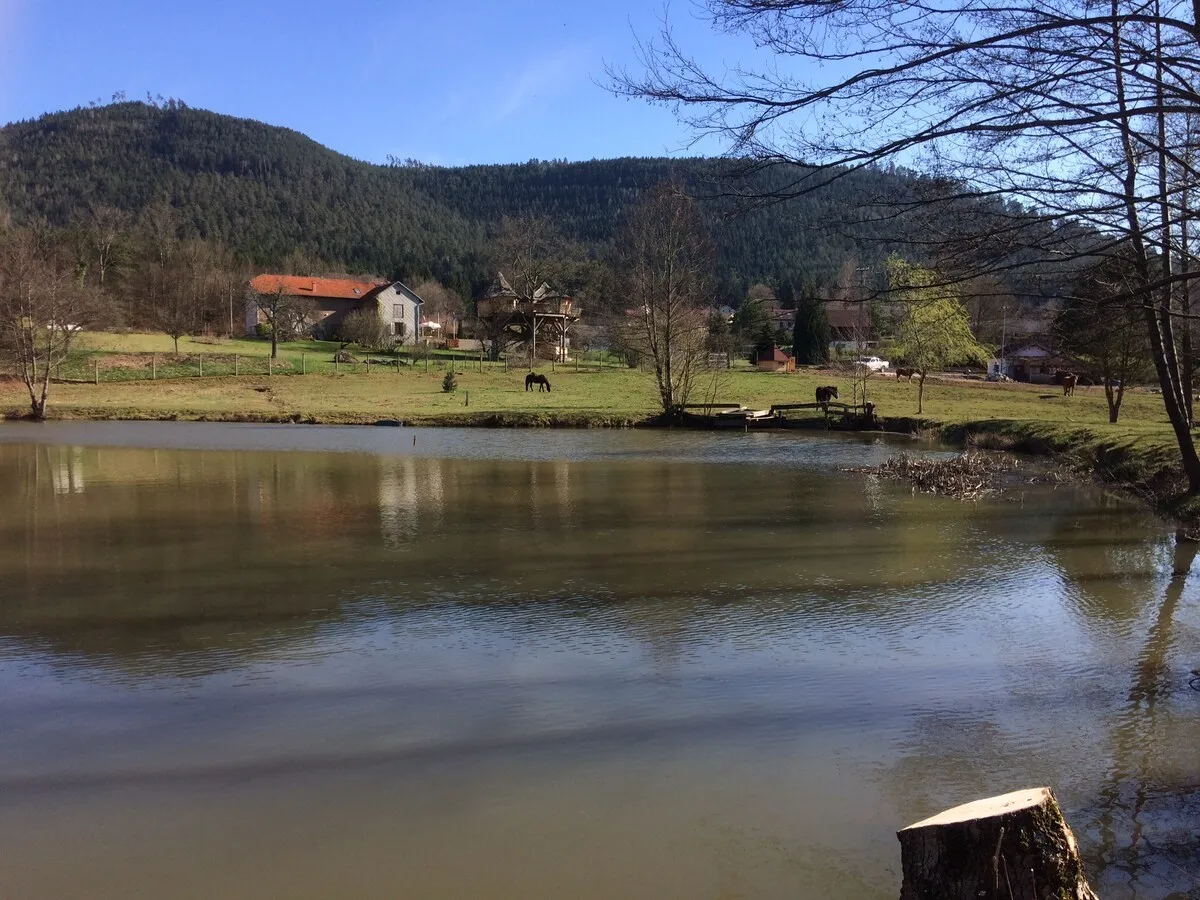 Chalet forestier avec piscine au bord de l'eau, proche de nancy