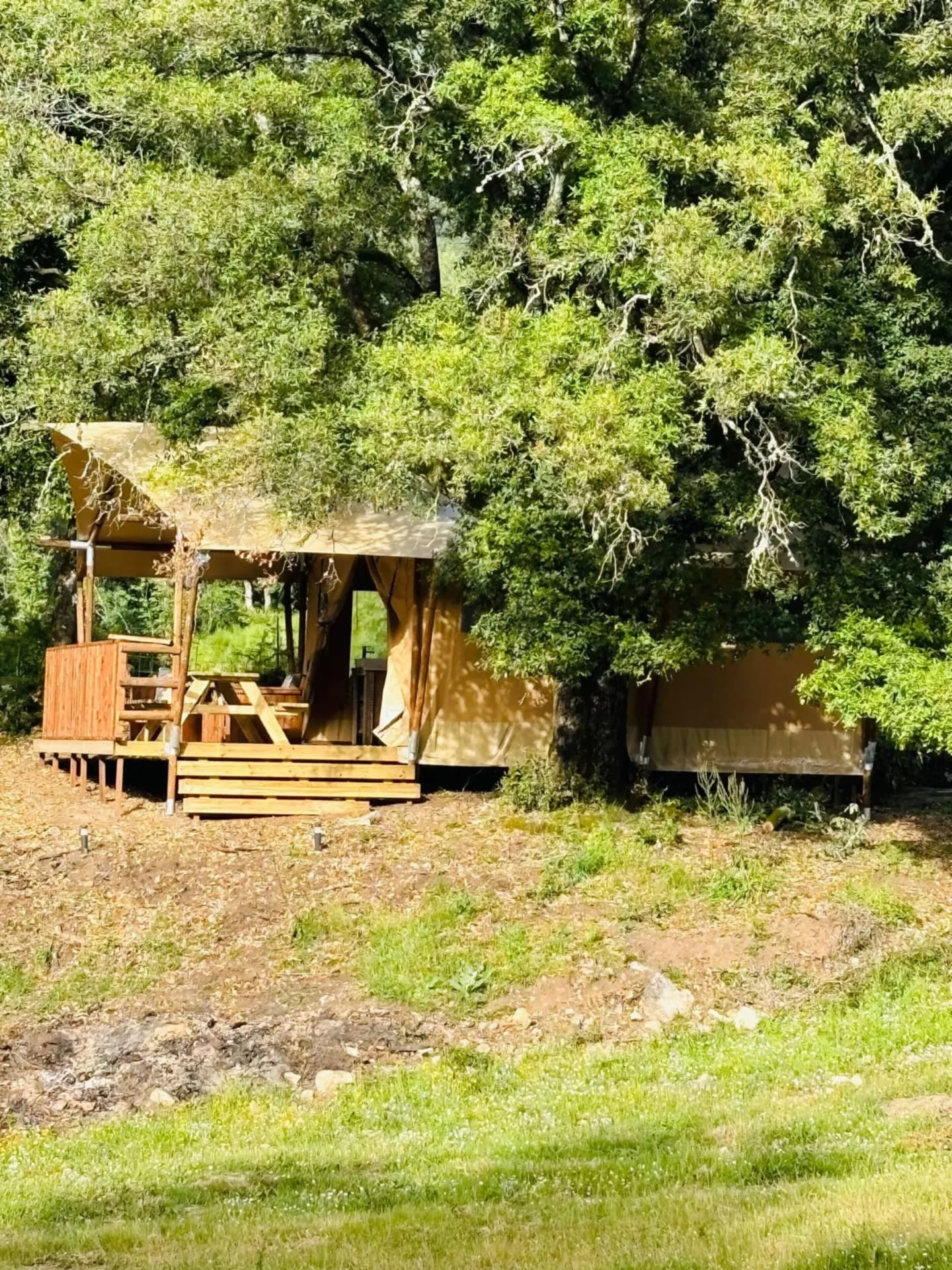 Lodge de charme en Corse du Sud, rivière sauvage proche de Ajaccio, chalet nature