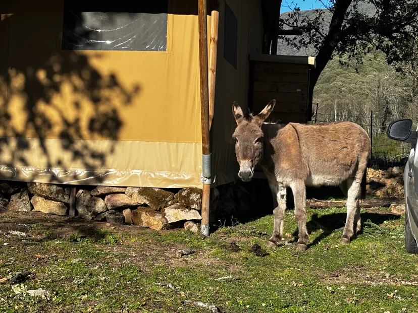 Gîte de pêche en Corse-du-Sud, rivière sauvage proche de Ajaccio, chalet nature