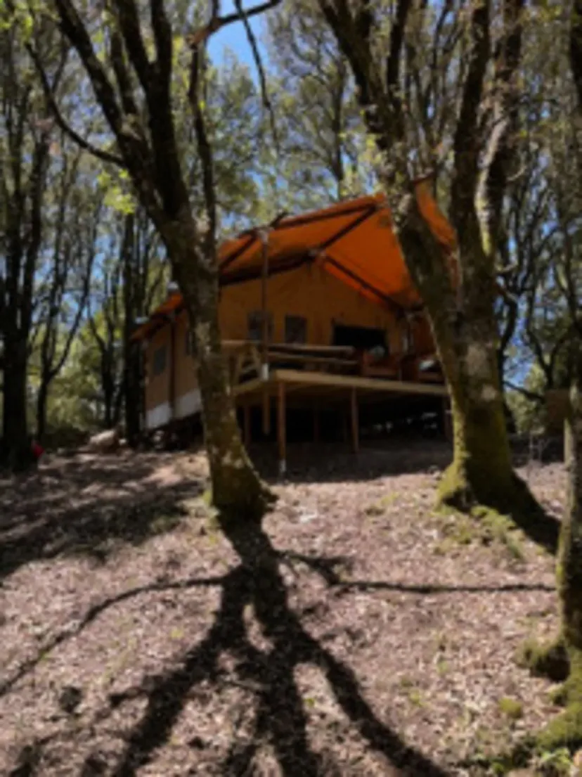 Gîte de pêche en Corse-du-Sud, rivière sauvage proche de Ajaccio, chalet nature