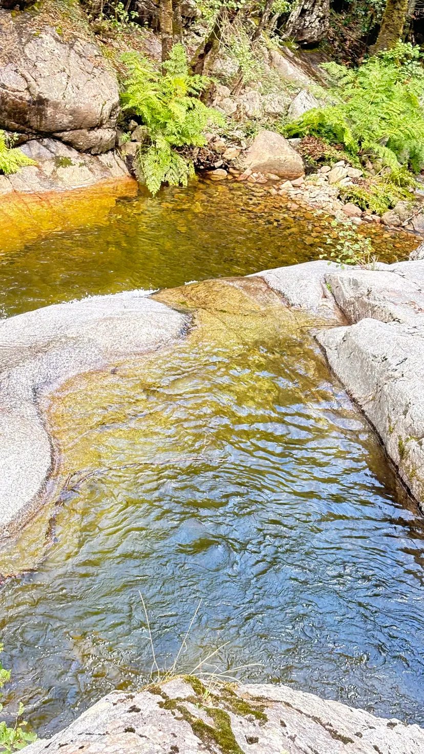 Gîte de pêche en Corse-du-Sud, rivière sauvage proche de Ajaccio, chalet nature