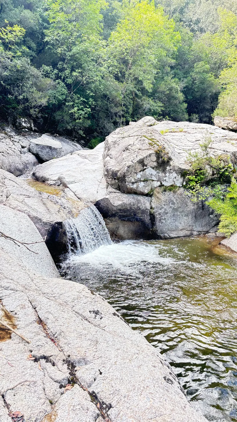 Gîte de pêche en Corse-du-Sud, rivière sauvage proche de Ajaccio, chalet nature