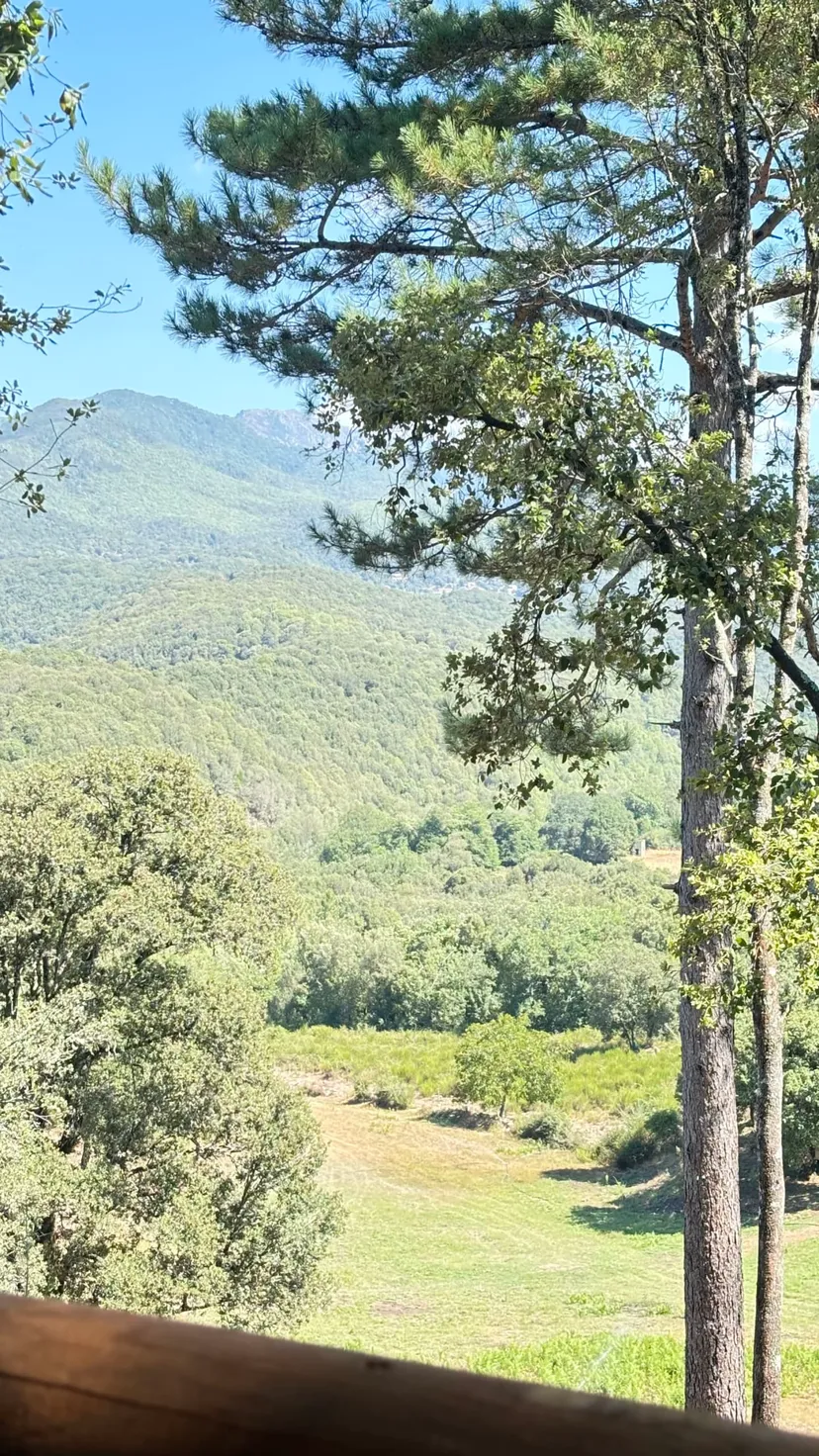 Gîte de pêche pour deux en corse-du-sud, rivière sauvage proche de ajaccio, chalet nature