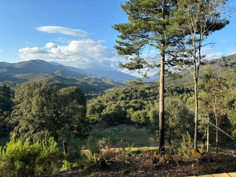 Gîte de pêche pour deux en corse-du-sud, rivière sauvage proche de ajaccio, chalet nature