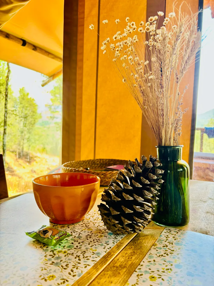 Gîte de pêche pour deux en corse-du-sud, rivière sauvage proche de ajaccio, chalet nature