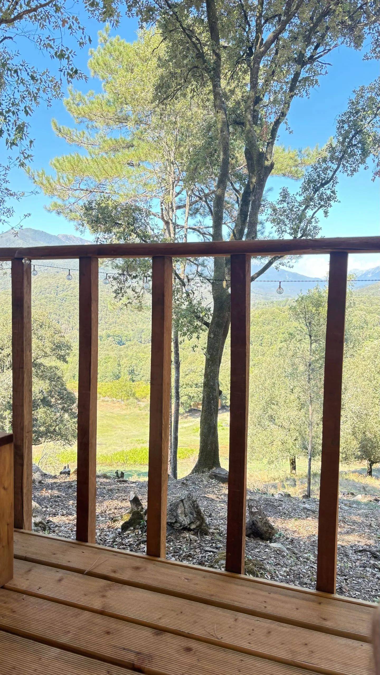 Gîte de pêche pour deux en corse-du-sud, rivière sauvage proche de ajaccio, chalet nature