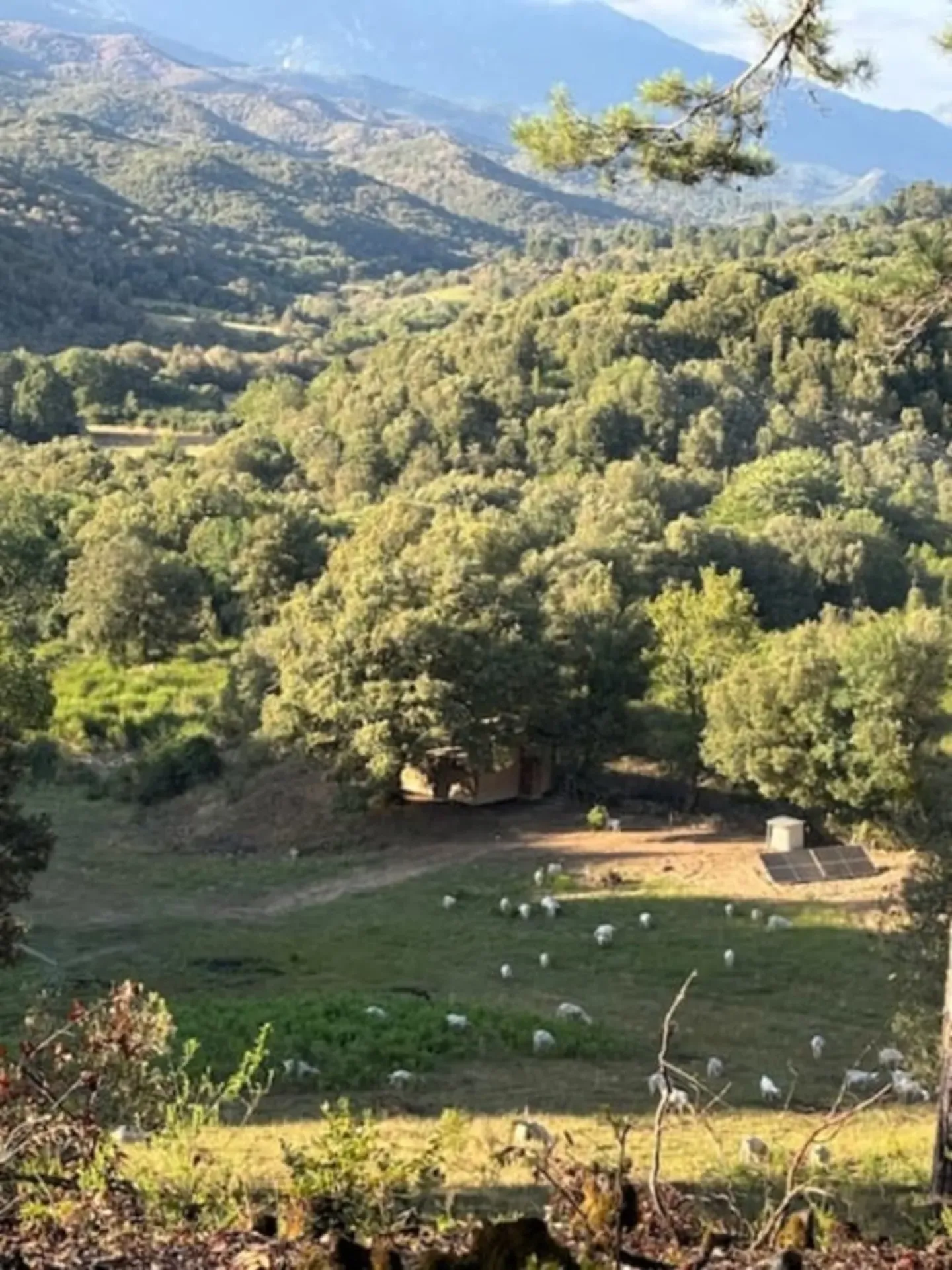 Gîte de pêche pour deux en corse-du-sud, rivière sauvage proche de ajaccio, chalet nature