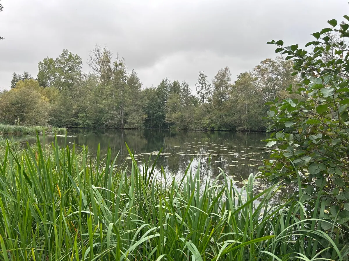 Gîte nature pour 4 personnes, proche d'Amiens, étang privé et rivière