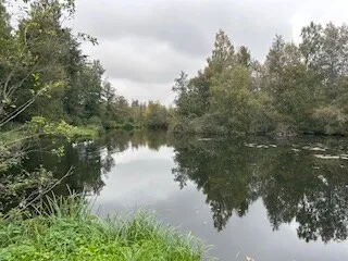 Gîte nature pour 4 personnes, proche d'Amiens, étang privé et rivière
