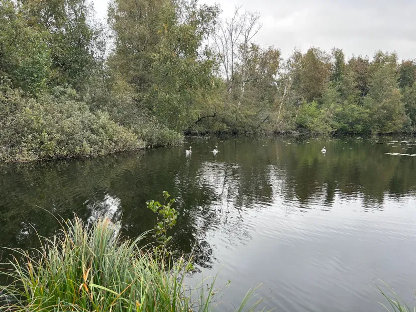 Gîte cosy en vallée de la somme pour 4 personnes, proche d'amiens, étang et rivière