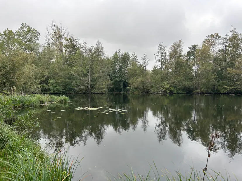 Gîte cosy en vallée de la somme pour 4 personnes, proche d'amiens, étang et rivière
