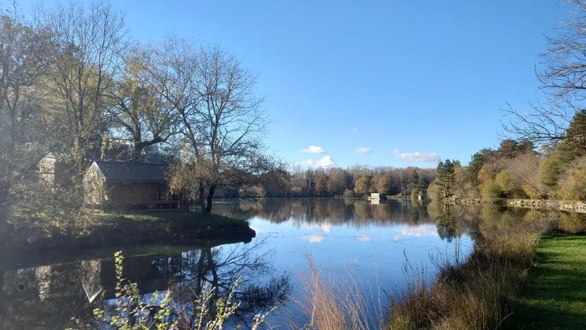 Chalet sur pilotis avec une grande terrasse pour 4 personnes
