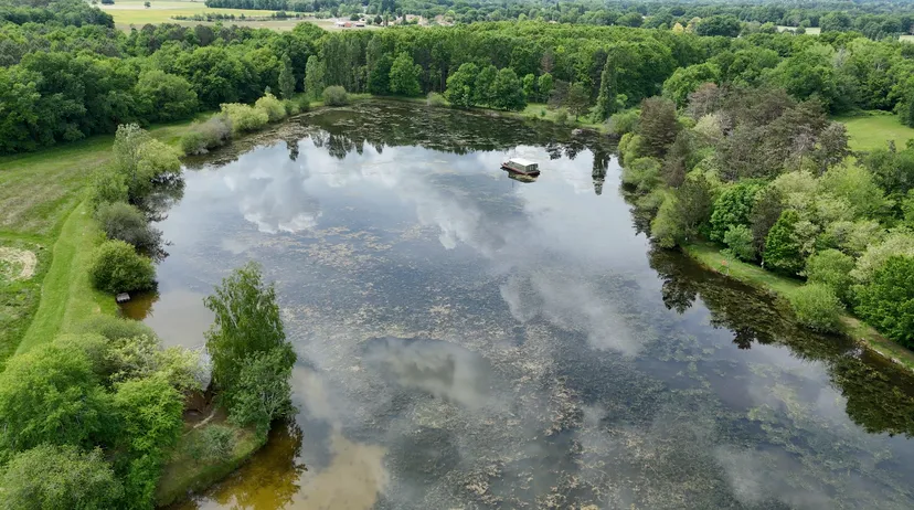Cabanes sur pilotis avec vue imprenable sur l’étang