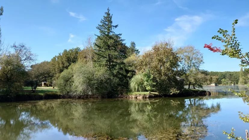 Chalet sur pilotis pour 4 personnes avec étang privé