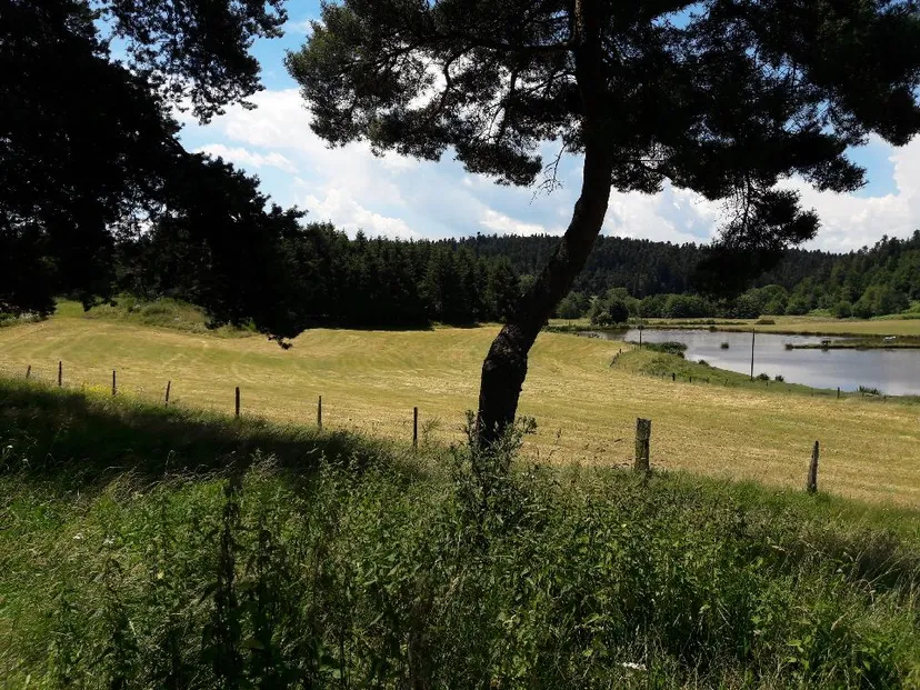 Séjour nature en roulotte et 3 étangs de pêche, proche de saint-étienne, étangs de montagne