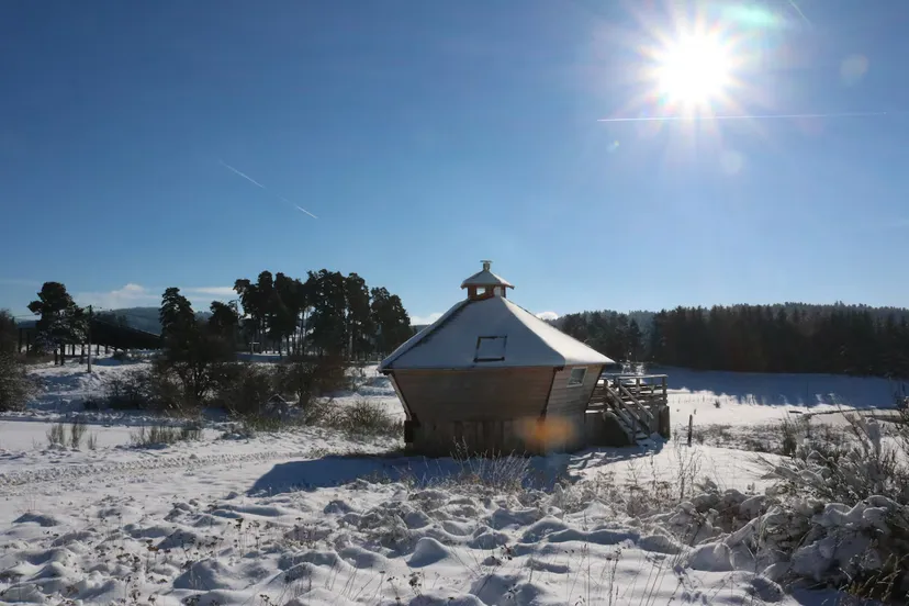 Tiny house atypique et 3 étangs de pêche, proche de saint-étienne, étangs de montagne
