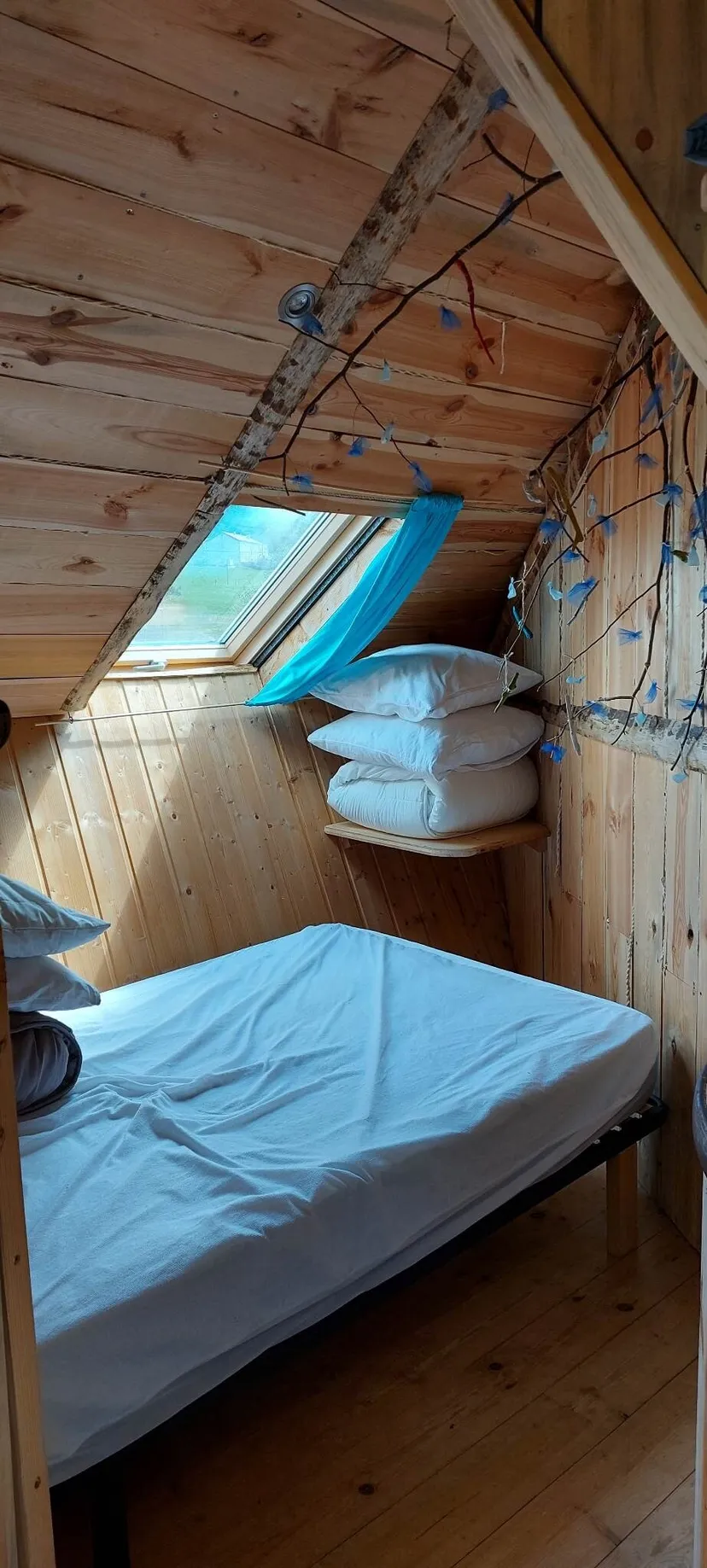 Tiny house atypique et 3 étangs de pêche, proche de saint-étienne, étangs de montagne