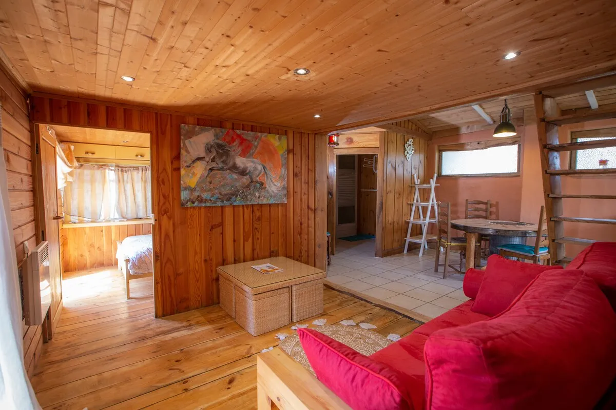Chalet familial et 3 étangs de pêche, proche de saint-étienne, étangs de montagne