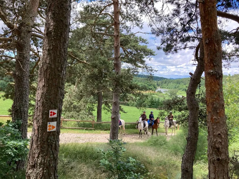Esprit ranch et 3 étangs de pêche, proche de saint-étienne, étangs de montagne