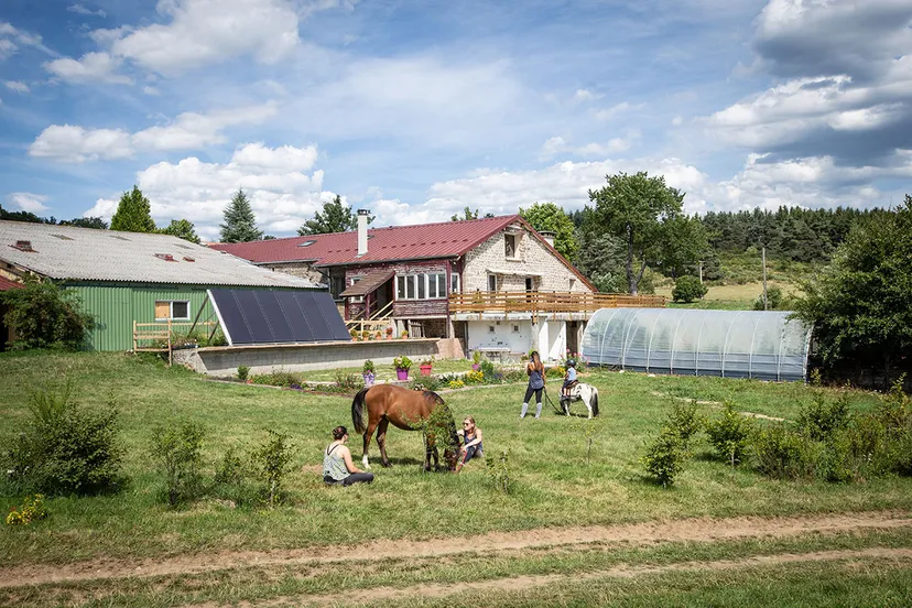 Gîte de Groupe avec 3 étangs pour un total de 0,8ha proche de Saint-Etienne