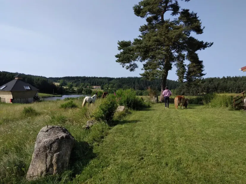 Gîte de Groupe avec 3 étangs pour un total de 0,8ha proche de Saint-Etienne