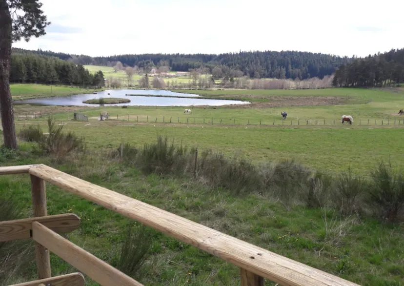 Cottage with access to 3 private ponds in Ardèche