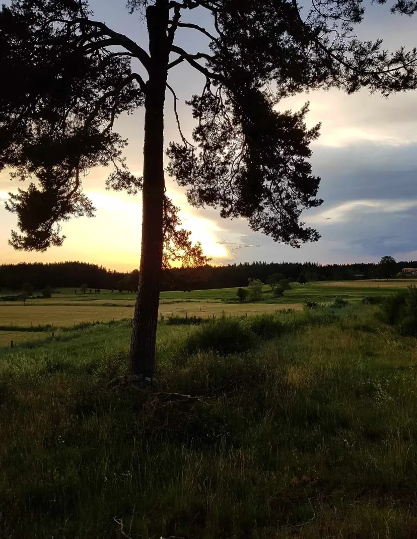 Cottage with access to 3 private ponds in Ardèche