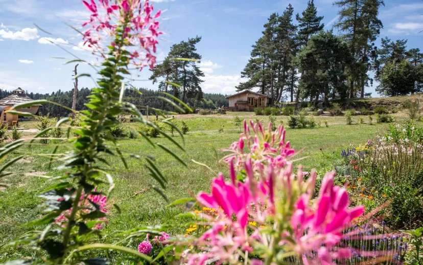 Cottage with access to 3 private ponds in Ardèche