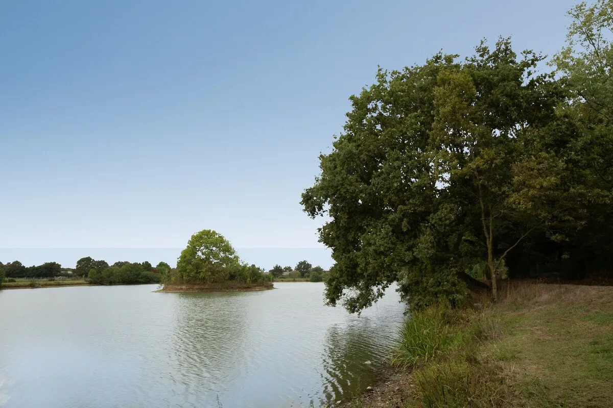Propriété de 7ha avec étang privé de 5ha proche de Cholet