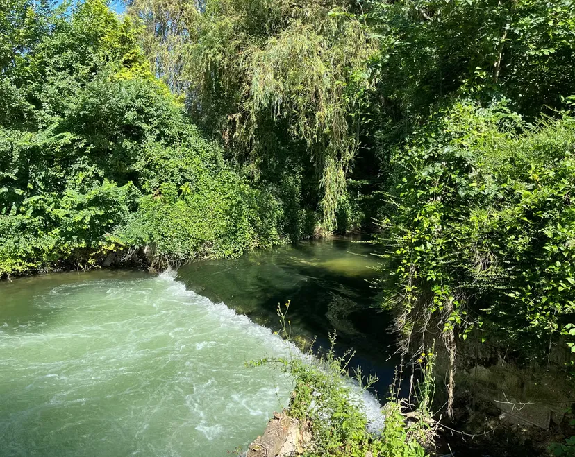 Séjour d'exception en écolodge flottant sur un lac cristallin de 3,5 ha, proche de Bourges