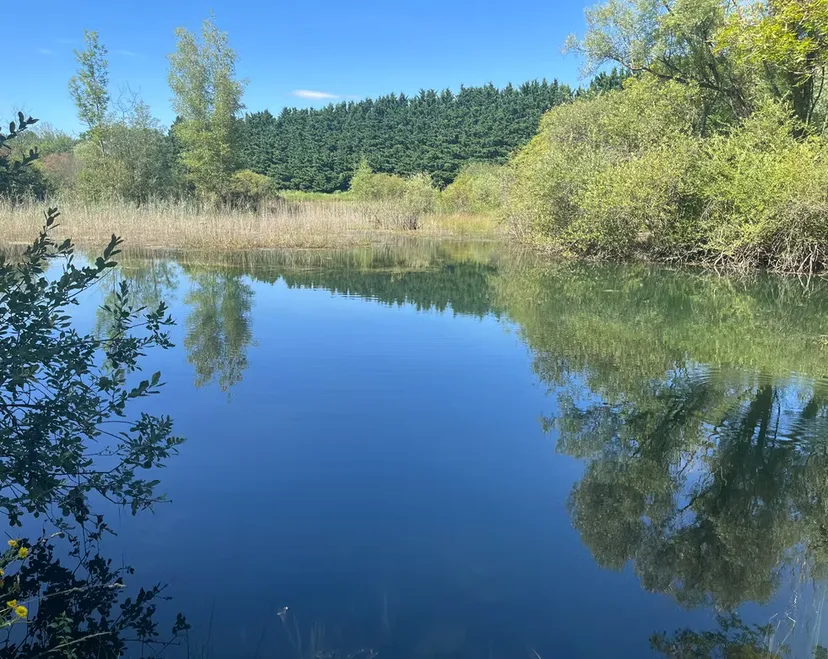 Séjour d'exception en écolodge flottant sur un lac cristallin de 3,5 ha, proche de Bourges