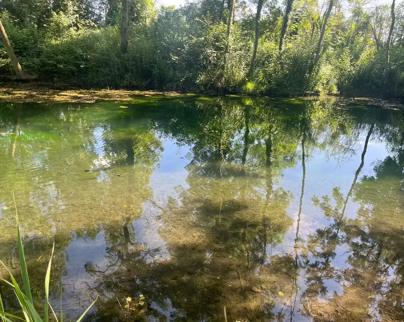 Séjour d'exception en écolodge flottant sur un lac cristallin de 3,5 ha, proche de Bourges