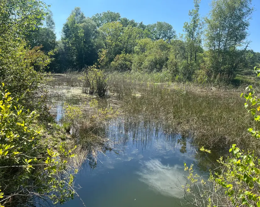 Séjour d'exception en écolodge flottant sur un lac cristallin de 3,5 ha, proche de Bourges
