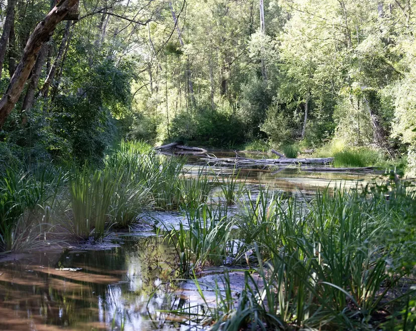 Privatisation du domaine avec ses 2 lodges flottants sur un lac cristallin de 3,5 ha