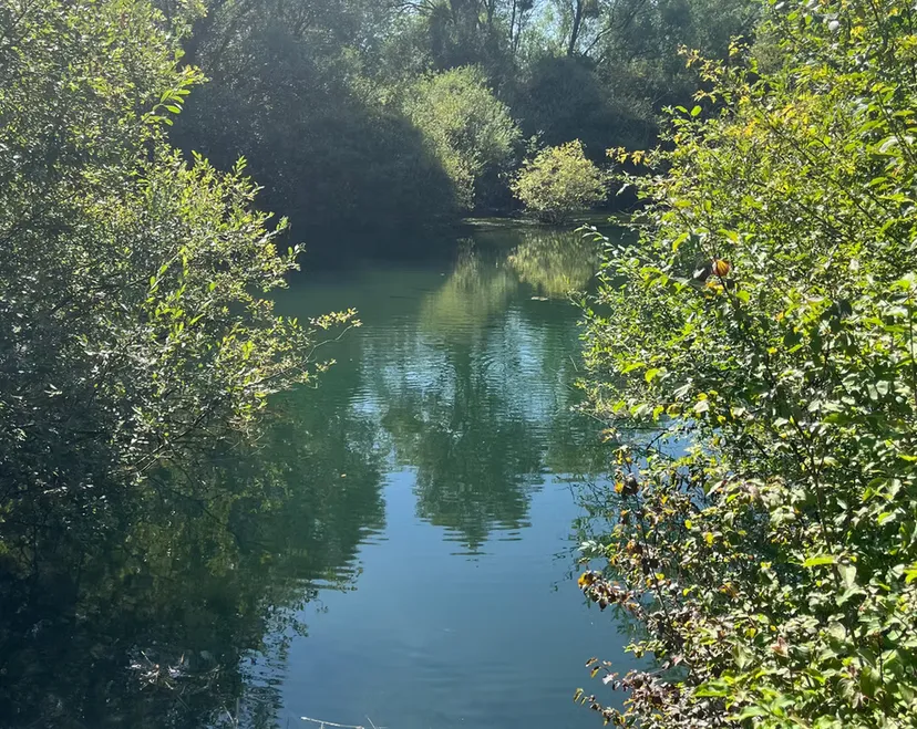Privatisation du domaine avec ses 2 lodges flottants sur un lac cristallin de 3,5 ha