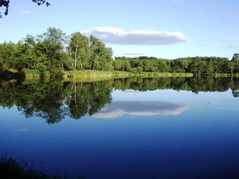 Grand domaine avec spa et accÚs à 6 étangs