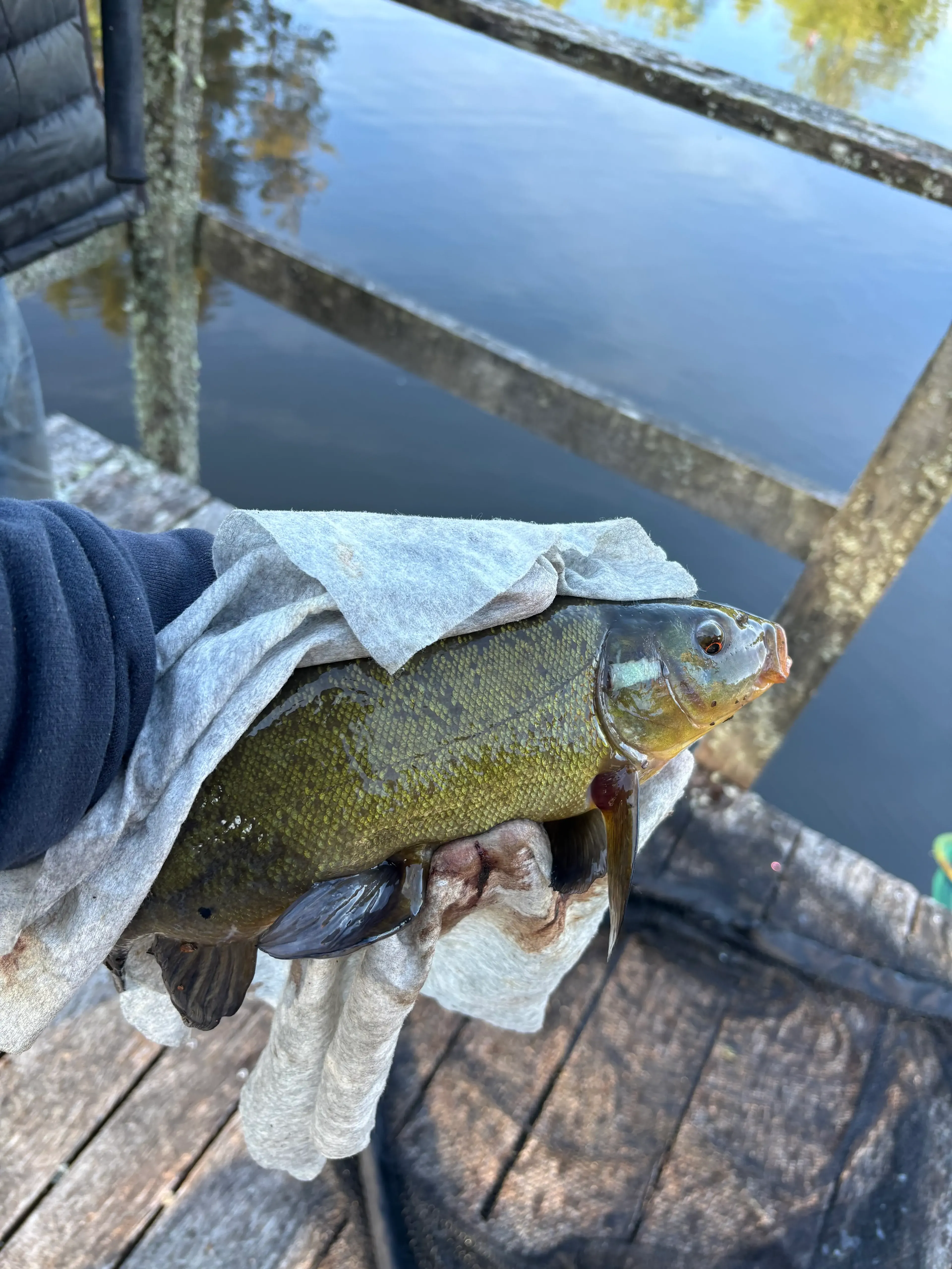 Pêche sur étang privé de 2 ha au cœur du Morvan avec chalet isolé et tipi à 1h30 de Dijon
