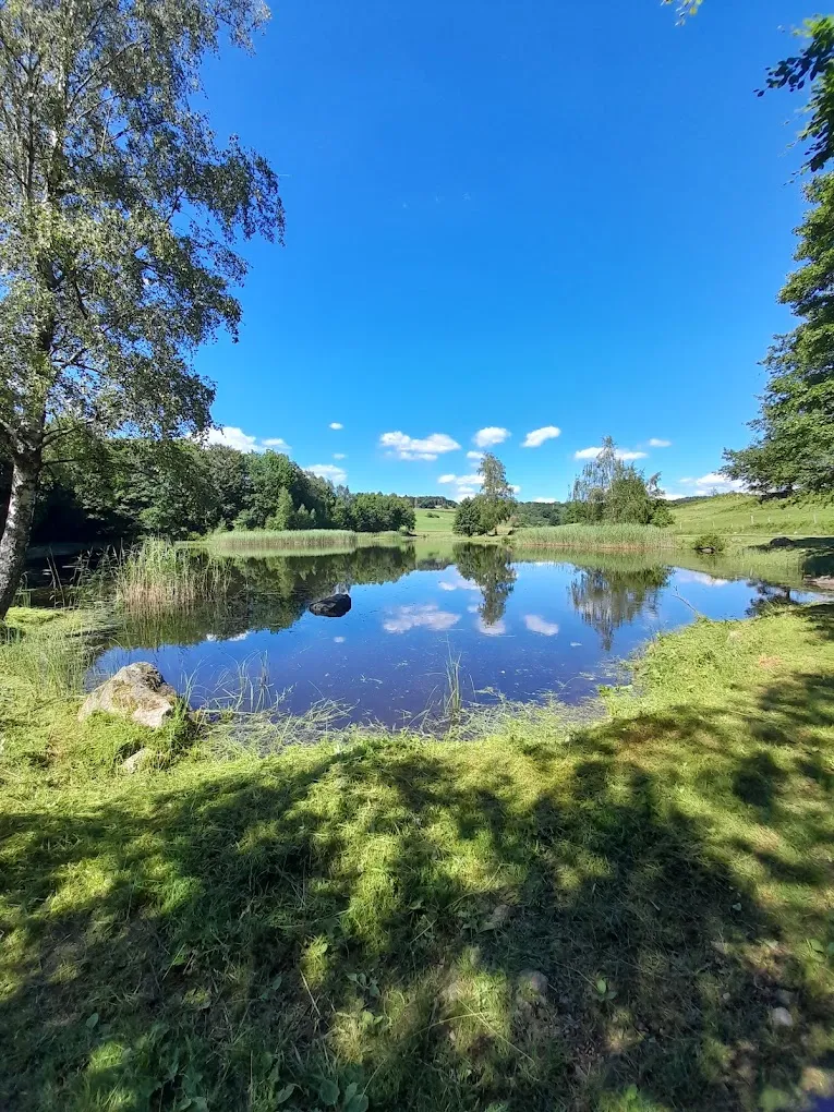 Tiny house avec étang  en Haute-Saône