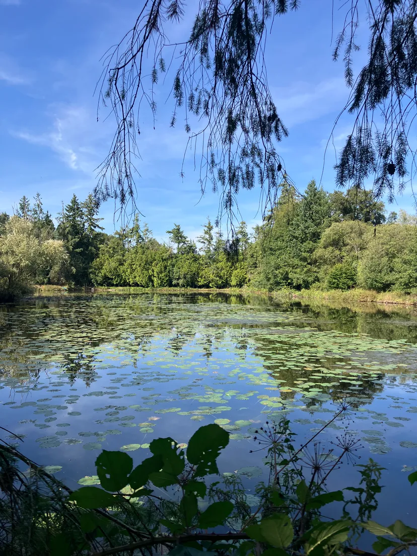 Bed and breakfast with private pond 2.47 ac in Broceliande – Brittany