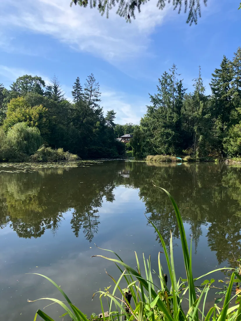 Bed and breakfast with private pond 2.47 ac in Broceliande – Brittany