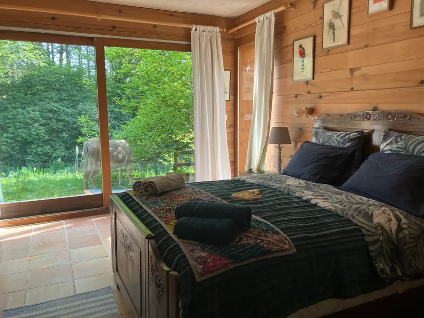 Bed and breakfast with private pond 2.47 ac in Broceliande – Brittany