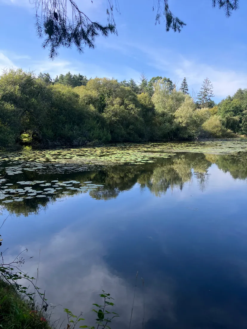 Transparent bubble with 2.47 ac private pond in Brittany