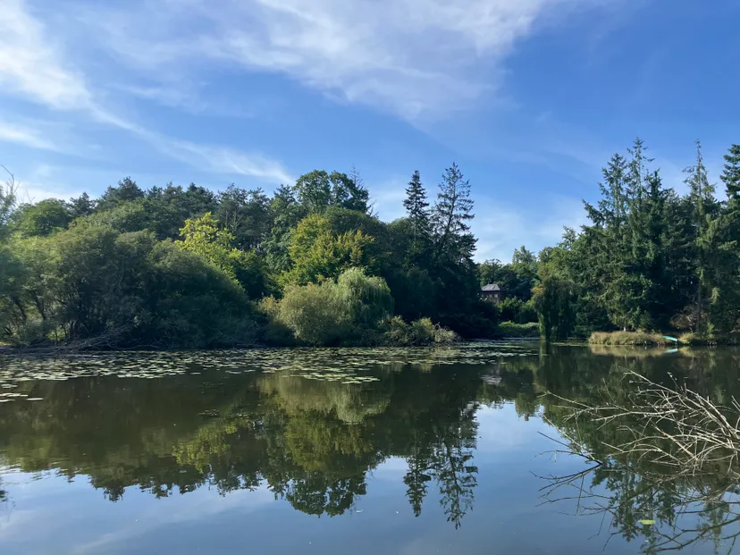 Transparent bubble with 2.47 ac private pond in Brittany