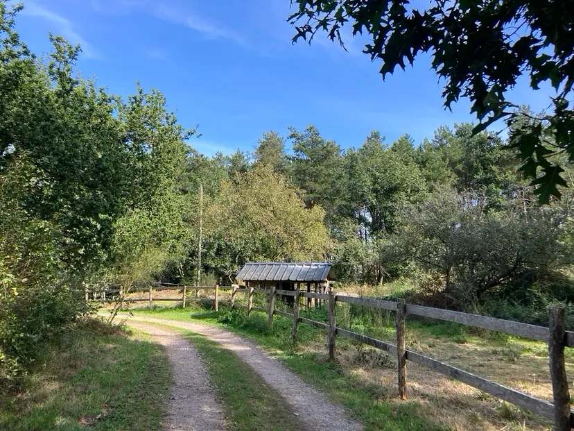 Transparent bubble with 2.47 ac private pond in Brittany