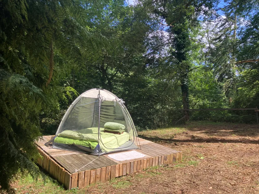 Transparent bubble with 2.47 ac private pond in Brittany
