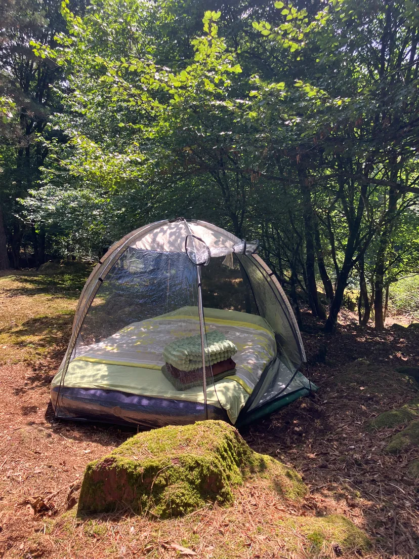 Transparent bubble with 2.47 ac private pond in Brittany