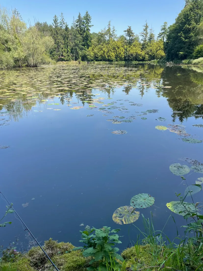 Transparent bubble with 2.47 ac private pond in Brittany