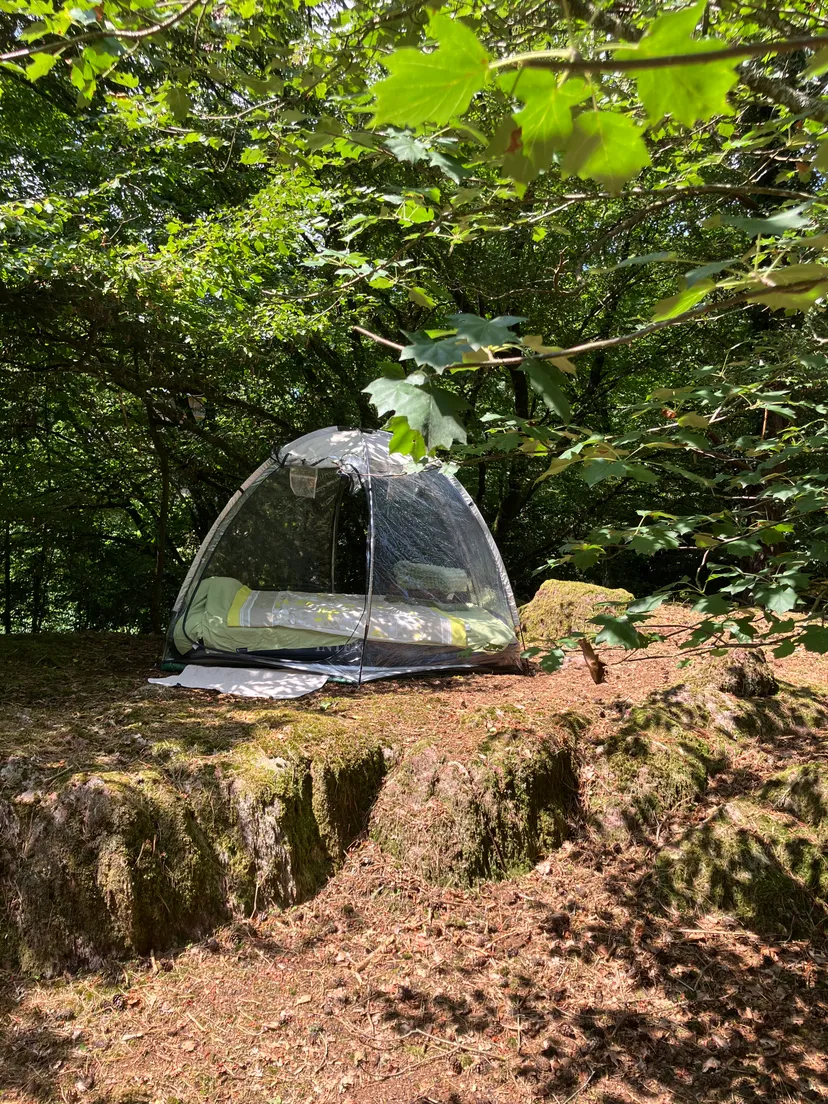 Transparent bubble with 2.47 ac private pond in Brittany