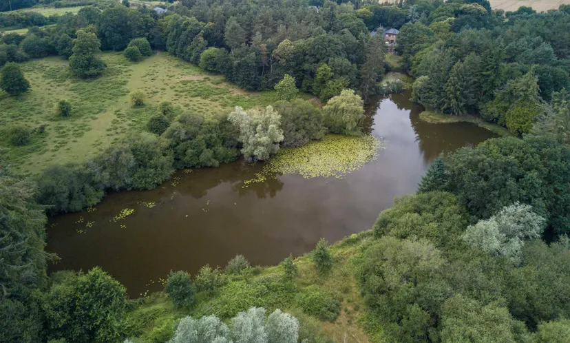 Transparent bubble with 2.47 ac private pond in Broceliande forest