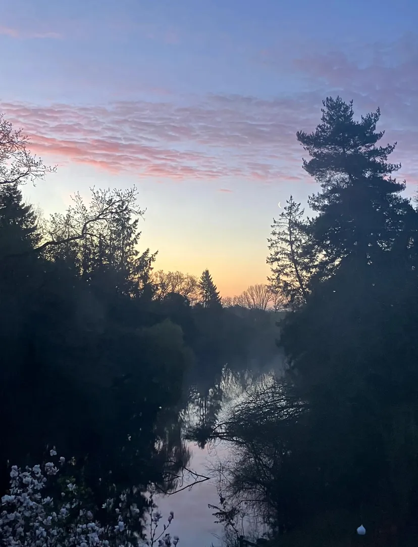 Transparent bubble with 2.47 ac private pond in Broceliande forest
